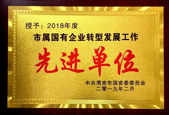 2018年企業(yè)轉型先進單位.jpg